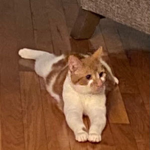 Meet your Posher, Macey